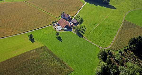 Grafik Landwirtschaft